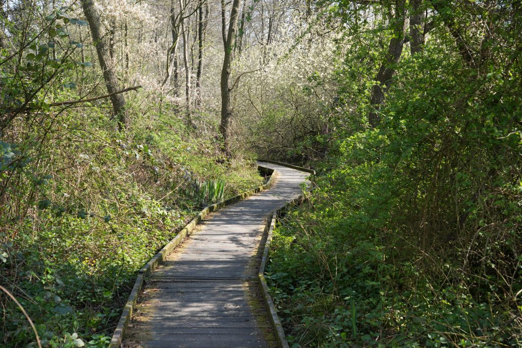 beroepsopleiding uitvaartbegeleider Meander