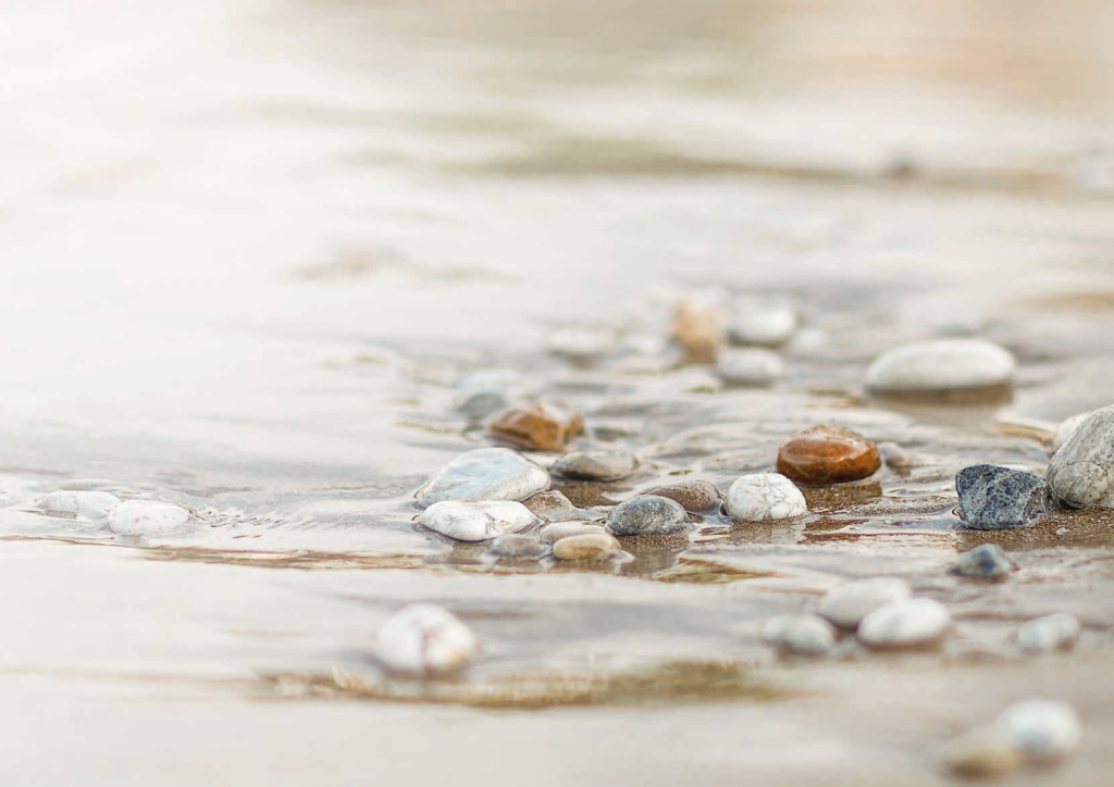 Oriëntatiedag Meander Uitvaartopleiding
