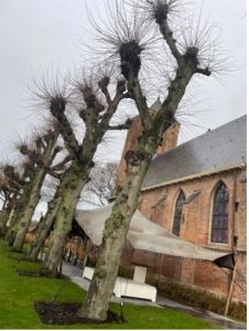 landelijk meander netwerk dag 2023