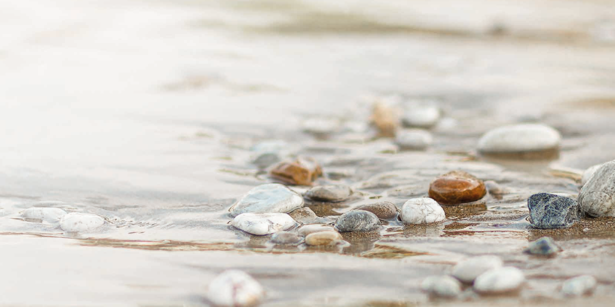 Oriëntatiedag Meander Uitvaartopleiding