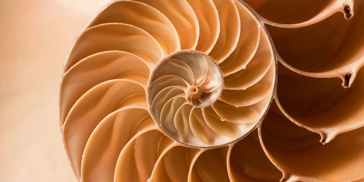 meander verdiepingsmiddag