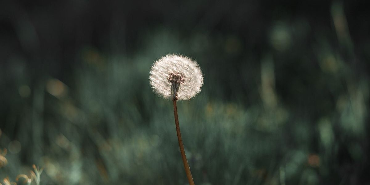 kinderen en uitvaarten
